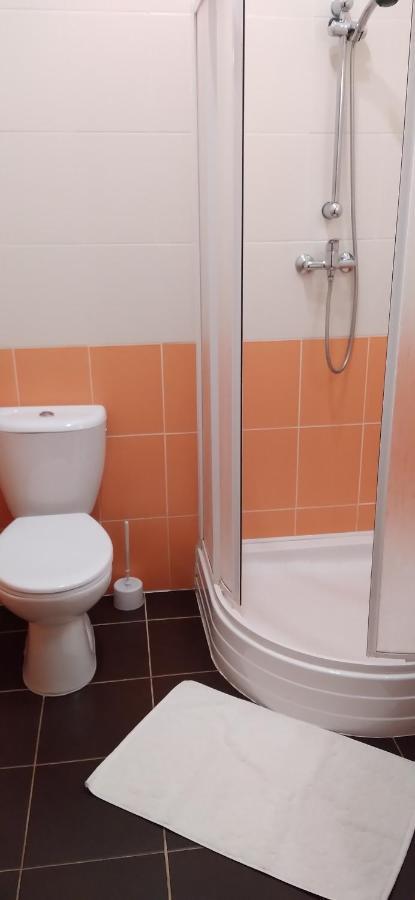 Apartmany Sramek Stříbro Extérieur photo